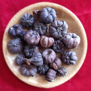 中药材野生算盘子野南瓜 算盘珠八瓣橘馒头果地金瓜野北瓜子磨盘