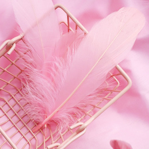 小仙女房间装饰品粉色羽毛少女心ins风网红摆拍照相摄影拍摄道具