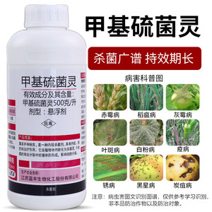 50%甲基硫菌灵悬浮剂赤霉病叶斑病炭疽病叶霉病果树农药杀菌剂