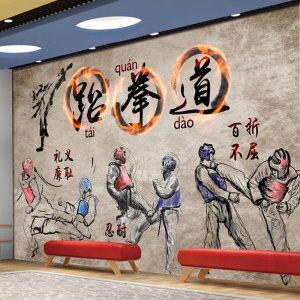 创意跆拳道壁纸武术武馆装修文化墙纸墙壁画道馆散打背景墙布装饰