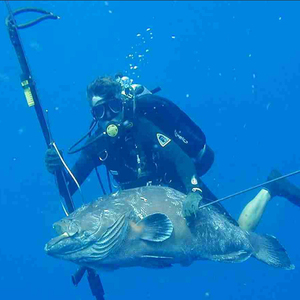 深海自动鱼枪射鱼器潜水射鱼枪装备专用射鱼箭水下套装射鱼神器