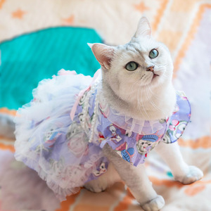狗狗衣服洛丽塔公主风猫咪连衣裙婚纱礼服宠物猫猫公主裙比熊夏款