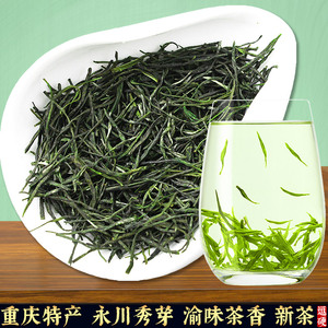 逗硬2023新茶重庆茶叶特产永川秀芽毛峰高级绿茶浓香型250g