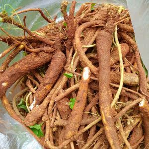 四川新鲜南沙参野生南沙参泡参下单现采鸡腿参鲜活500克包邮_阿里巴巴