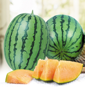 【京欣一号西瓜种】京欣一号西瓜种品牌,价格 - 阿里巴巴