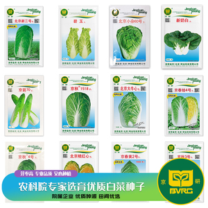 京研大白菜种子青麻叶奶白菜绍菜黄心娃娃菜农科院优质蔬菜种籽孑