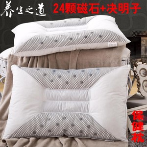 新款磁石疗枕头决明子记忆枕助睡眠修护颈椎单双人枕芯家用一对装