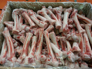 内蒙古羊骨头草原羔羊干棒羊棒骨清真羊腿骨新鲜20斤冷冻大量