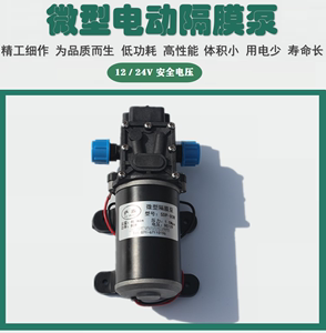 高压电动洗车水泵SDP-60W 12V24V80自吸直流带压力开关微型隔膜泵