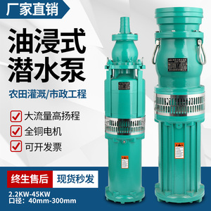 上海款QY油浸式三相潜水泵大流量农田灌溉380v高压喷淋滴灌抽水机