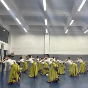 藏族舞蹈服装女半身裙广场舞演出女藏式练功服大摆裙比赛练习长裙