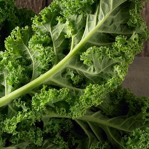 惠鲜汇 绿羽衣甘蓝 200g新鲜沙拉蔬菜 kale 食用甘蓝 有同城配送