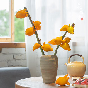 五代同堂黄金果盆栽室内绿植桌面花卉盆景鲜切水培植物带果发货