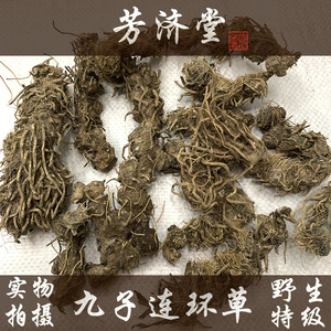 九子连环草