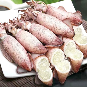 30只 冷冻全籽籽乌 带籽满籽乌鱼墨鱼鱿鱼 新鲜海兔笔管鱼