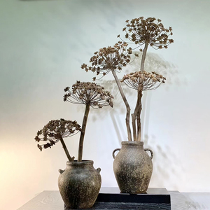 仿真蒲公英装饰真树杆玄关手工复古风格摆件拍摄道具仿生定制绿植