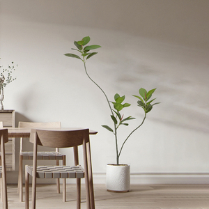 绿植仿真植物家居室内客厅摆件落地盆栽装饰北欧风橡皮榕盆景假树