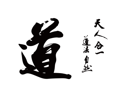 90莱易捷旗舰店天猫道家太极八卦图案道家文化反光夜光荧光摩托车