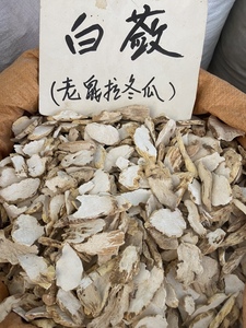 野生老鼠拉冬瓜 白蔹 见肿消山地瓜茅瓜马交儿无硫精选500g克包邮