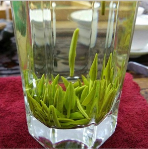 茶芽尖绿茶