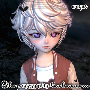 【wayne原创】剑灵灵族男捏脸捏人数据 灵男 羽熊至所