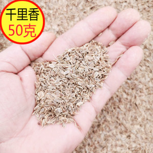 千里香50克卤料火锅香料调料大全莳萝籽九里香七里香百里香粉籽