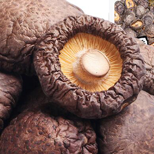农家小香菇干货500g炖汤特产金钱菇珍珠菇菌菇冬菇散装蘑菇干菌子