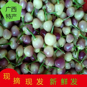 五彩椒广西特产新鲜七彩椒5斤小辣椒现摘五彩泡椒灯笼椒泡椒剁椒