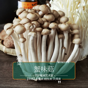 臻印映新鲜蟹味菇海味菇胜似野生超越有机天生天养鲜甜香口感佳.