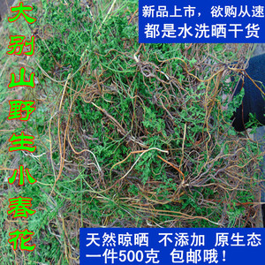 2018大别山区野生药草 小春花 独脚金鸡 清热去火 干品500克包邮
