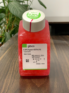 gibco胰酶