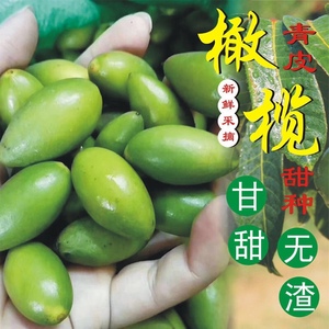 潮汕特产甜种橄榄脆口无渣回甘天然食品新鲜发货孕妇水果生吃煲汤