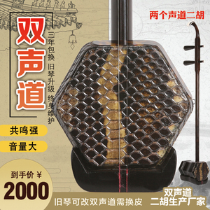 双声道二胡