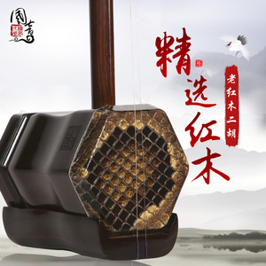 国音二胡 双声道老红木珍品二胡六角蟒皮胡琴专业院校演奏乐器