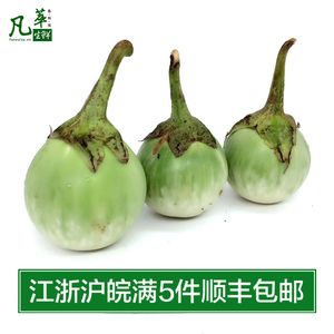 【凡萃生鲜】新鲜泰国茄子500g 一口茄迷你小茄子泰国圆茄5件包邮