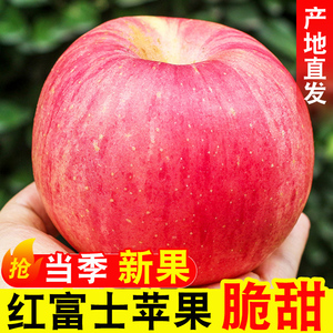苹果水果红富士陕西洛川富士脆甜多汁当季新鲜果园直发糖心整箱1