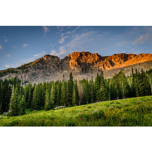 中国城市风光明信片上海苏州哈尔滨旅游城市风景卡片留言祝福贺卡