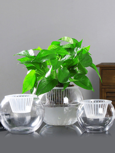 创意水培植物玻璃花瓶透明水养绿萝花盆容器插花瓶圆球形鱼缸器皿