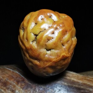嘉吉滩红皮子珠子筋脉石经戈壁玛瑙原奇阿拉善象形画文精品新珠宝