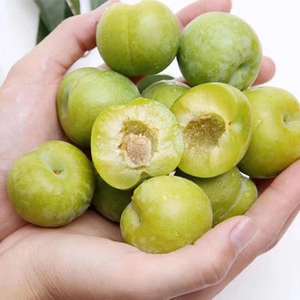 精品汶川青脆脱骨空心算盘麦黄李半边红孕妇口水果脆李沿河江安