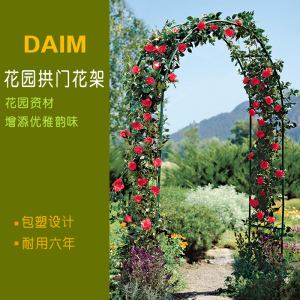欧式鲜花拱门花架 铁线莲藤本月季花架 欧月爬藤架植物拱门花支架