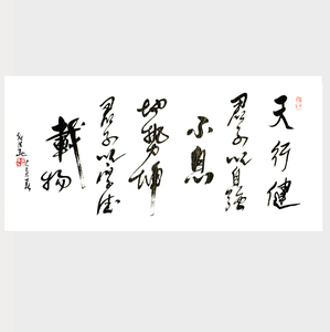 天行健君子以自强不息任法融书法作品手写名人字画装饰挂画客厅中