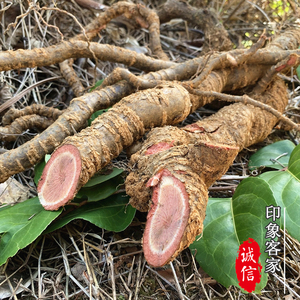 中药材 南蛇藤根 纯根 过山龙 过山枫大南蛇 穿山龙500g无硫 干品