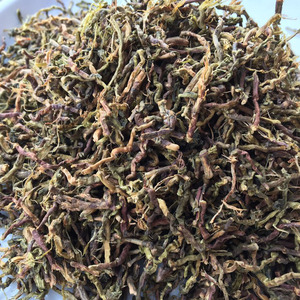 30斤装 山蜜草加甜叶菊  天山乌龙草根 山密草 福音草