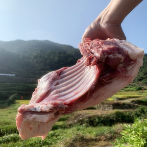 农场农家精品散养现杀巴马小香猪两头乌排骨前后腿五花新鲜土猪肉
