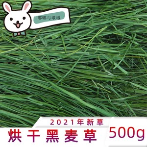 500g特级烘干黑麦草非晒干兔子龙猫荷兰猪干草 可代替提草首蓿草
