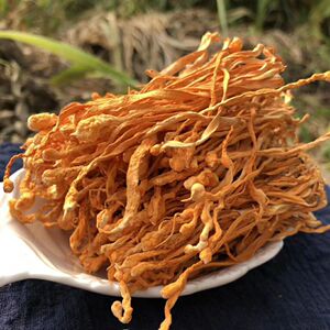 虫草花北虫草子实体蛹虫草无硫干货500g包邮丽水云和土特产