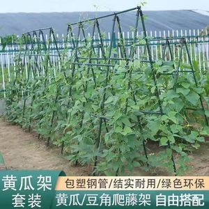 爬藤架黄瓜豆角蔬菜架杆植物固定支撑杆架子包塑钢管种菜专用架子