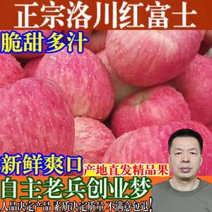 正宗延安洛川红富士苹果陕西特产脆甜水果新鲜当季精选10斤整箱装