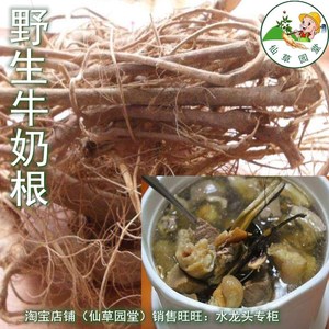 仙草园堂周宁野生牛奶根福建五指毛桃根树地瓜根宁德特产中青草干